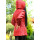 Dámska bunda červená Bea - 4091.3